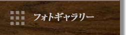 フォトギャラリー